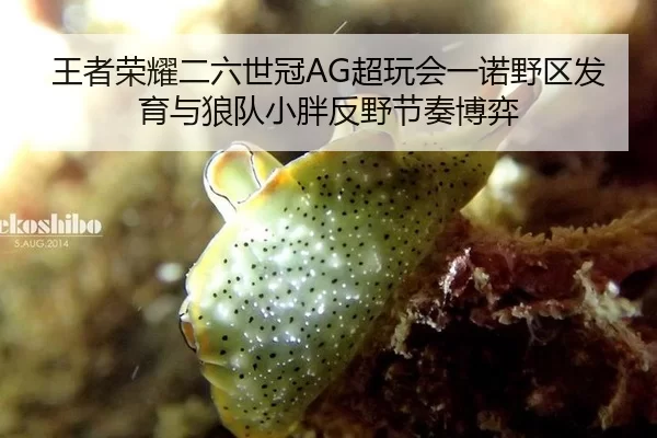 wang-zhe-rong-yao-er-liu-shi-guan-chao-wan-hui-yi-nuo-ye-qu-fa-yu-yu-lang-dui-xiao-pang-fan-ye-jie-zou-bo-yi-2-767.jpg